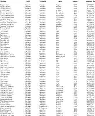 Novel Gene Rearrangement in the Mitochondrial Genome of Three Garra and Insights Into the Phylogenetic Relationships of Labeoninae